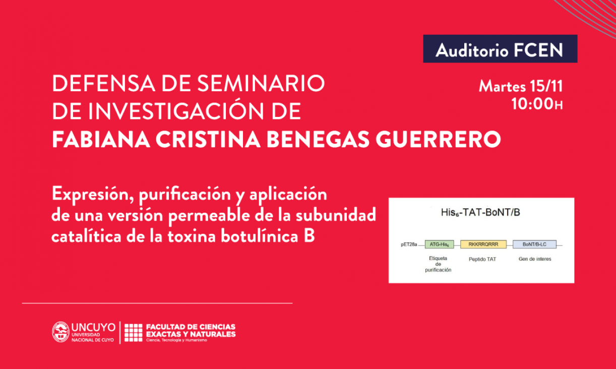 imagen Defensa de Seminario de Investigación de Fabiana Benegas 