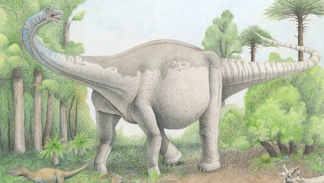 imagen El Laboratorio de Dinosaurios de la FCEN anuncia el descubrimiento del dinosaurio Notocolossus, uno de los mayores animales terrestres conocidos
