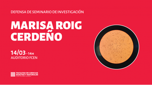 imagen Defensa de Seminario de Investigación a cargo de Marisa Roig Cerdeño