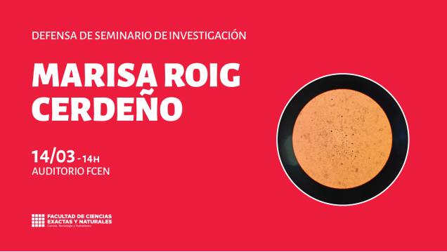 imagen Defensa de Seminario de Investigación a cargo de Marisa Roig Cerdeño