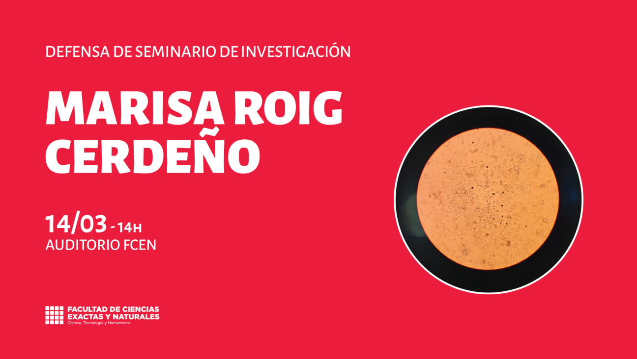 imagen Defensa de Seminario de Investigación a cargo de Marisa Roig Cerdeño