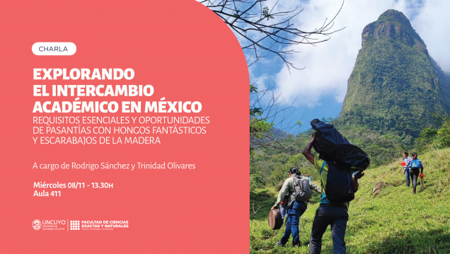 imagen Explorando el intercambio académico en México: requisitos esenciales y oportunidades de pasantías con hongos fantásticos y escarabajos de la madera