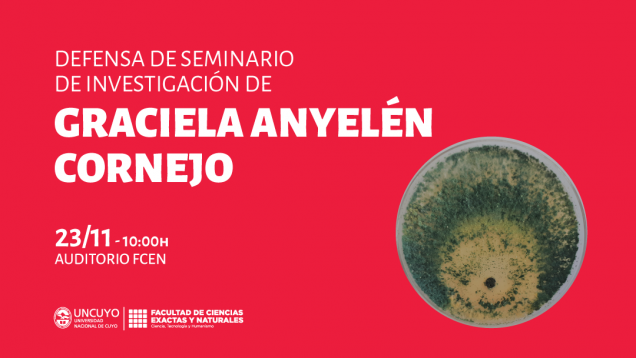 imagen Defensa de Seminario de Investigación de Graciela Anyelén Cornejo