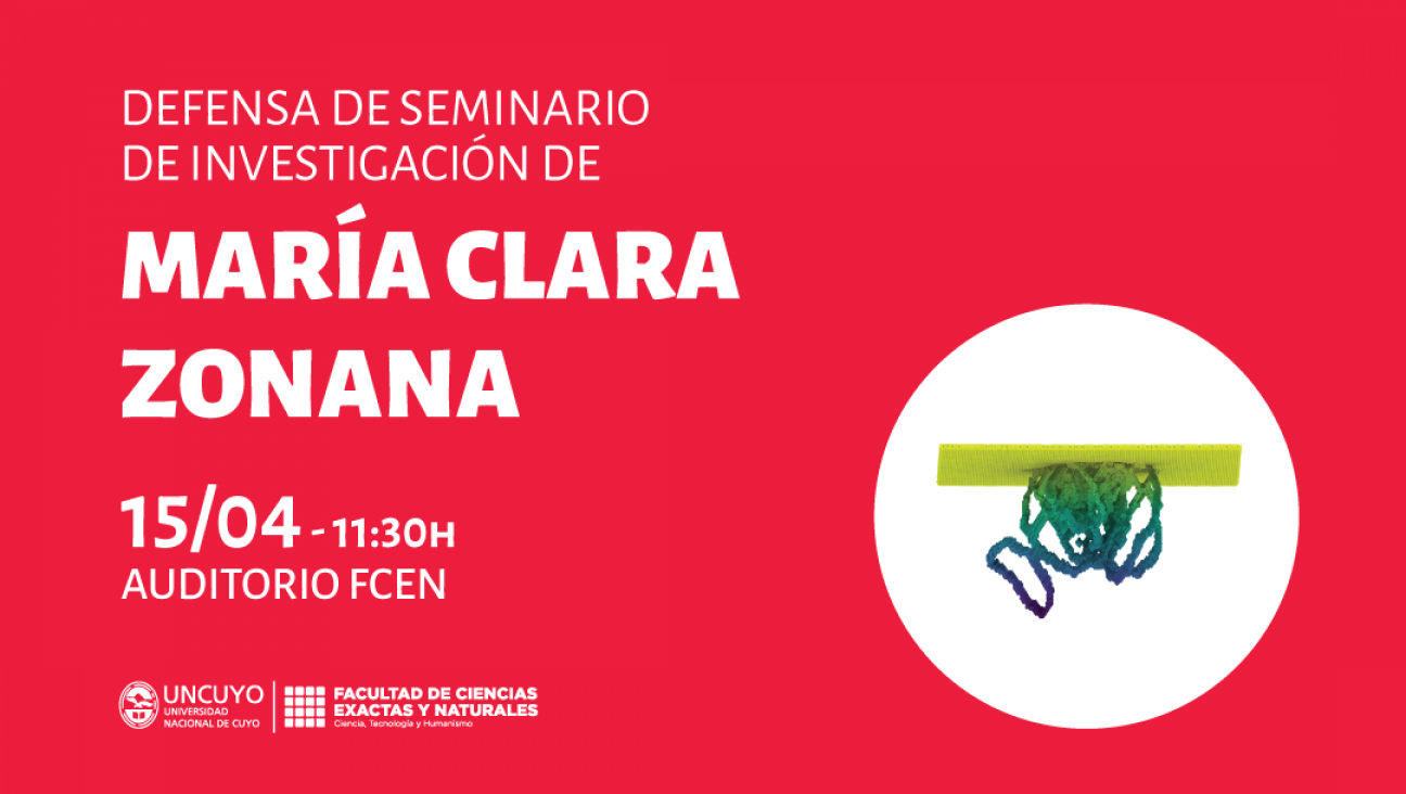 imagen Defensa de Seminario de Investigación de María Clara Zonana