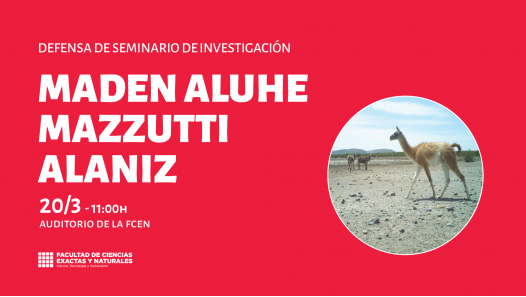 imagen Defensa de Seminario de Investigación a cargo de Maden Aluhe Mazzutti Alaniz 