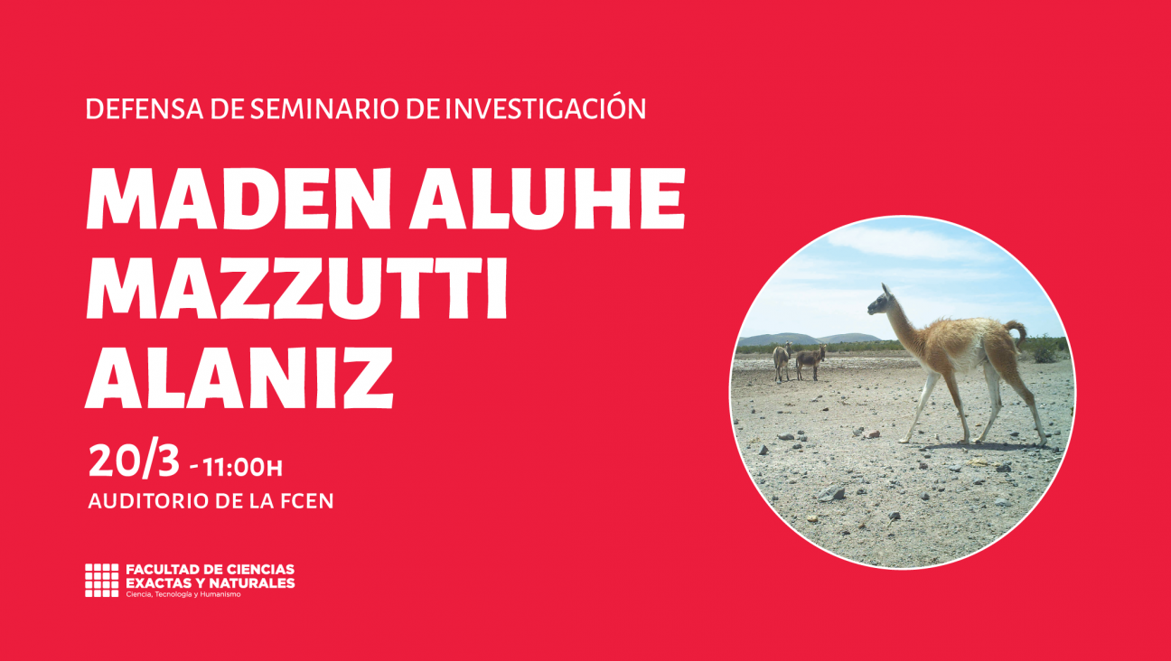 imagen Defensa de Seminario de Investigación a cargo de Maden Aluhe Mazzutti Alaniz 