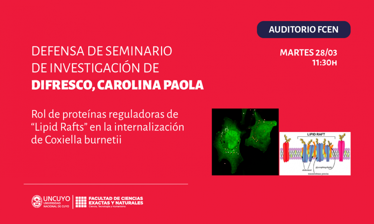 imagen Defensa de Seminario de Investigación de Carolina Paola Difresco