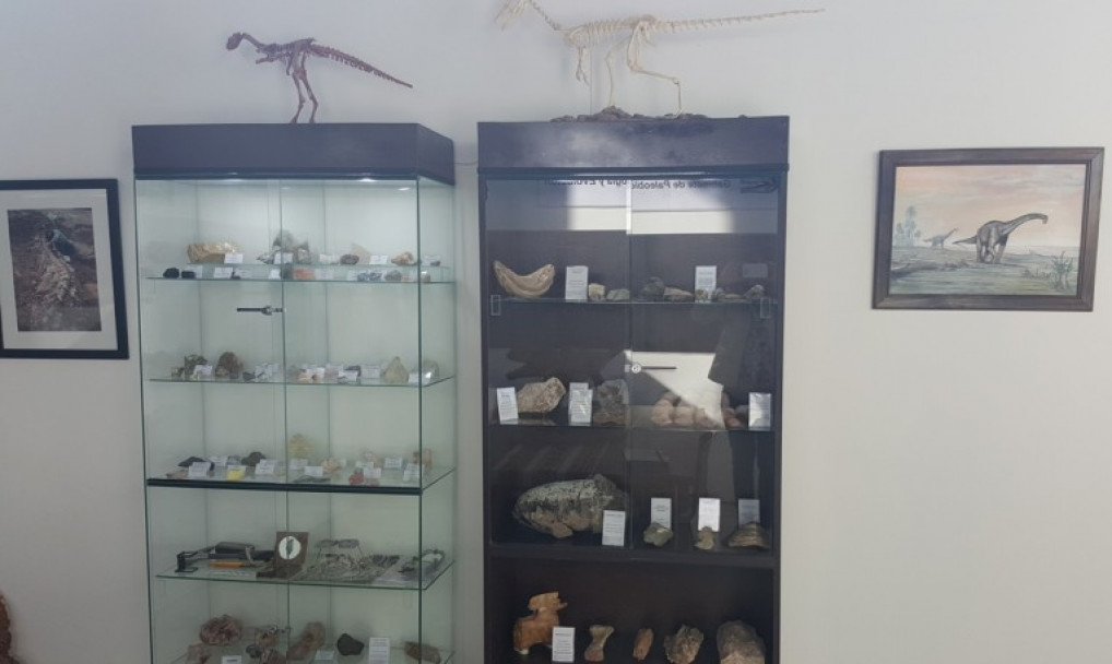 imagen Se inauguró el "Gabinete de Paleobiología y evolución"
