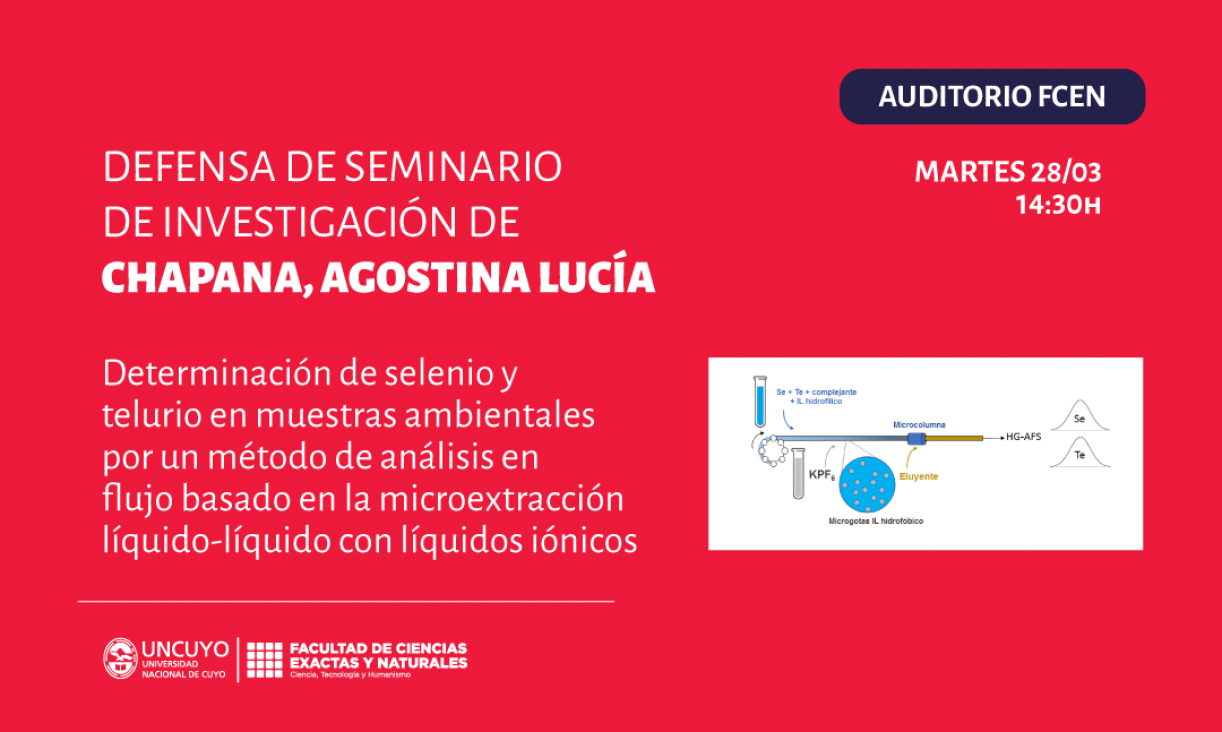 imagen Defensa de Seminario de Investigación de Agostina Lucía Chapana