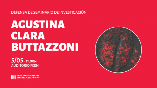 imagen Defensa de Seminario de Investigación a cargo de Clara Buttazzoni