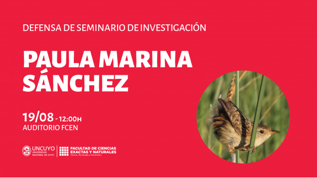 imagen Defensa de Seminario de Investigación de Paula Marina Sánchez