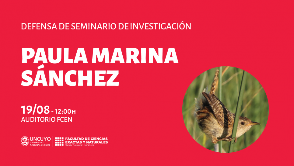 imagen Defensa de Seminario de Investigación de Paula Marina Sánchez