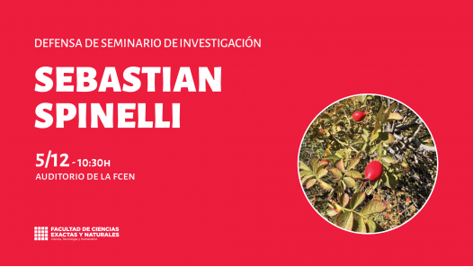 imagen Defensa de Seminario de Investigación a cargo de Sebastian Spinelli
