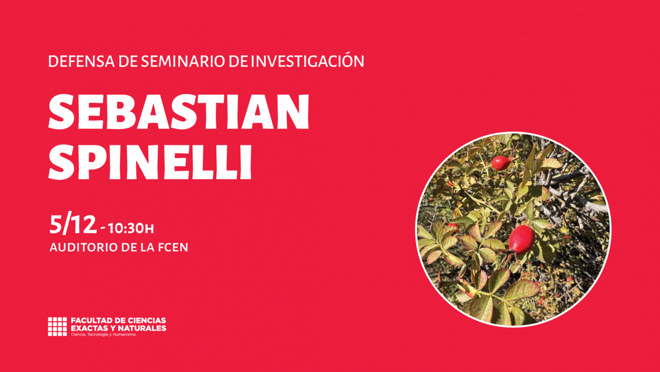 imagen Defensa de Seminario de Investigación a cargo de Sebastian Spinelli