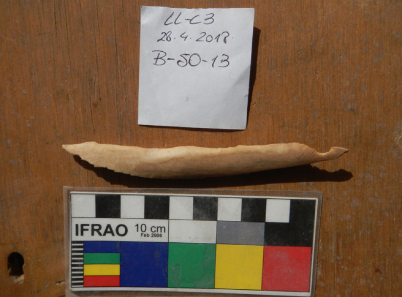 imagen Miembros del Laboratorio de Paleoecología Humana de la FCEN, realizaron tareas de investigación y extensión en Las Loicas, Malargüe