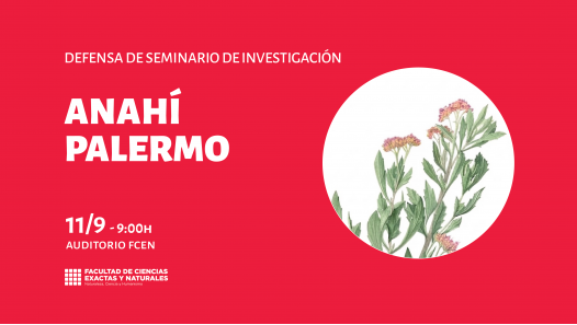 imagen Defensa de Seminario de Investigación a cargo de Anahí Palermo