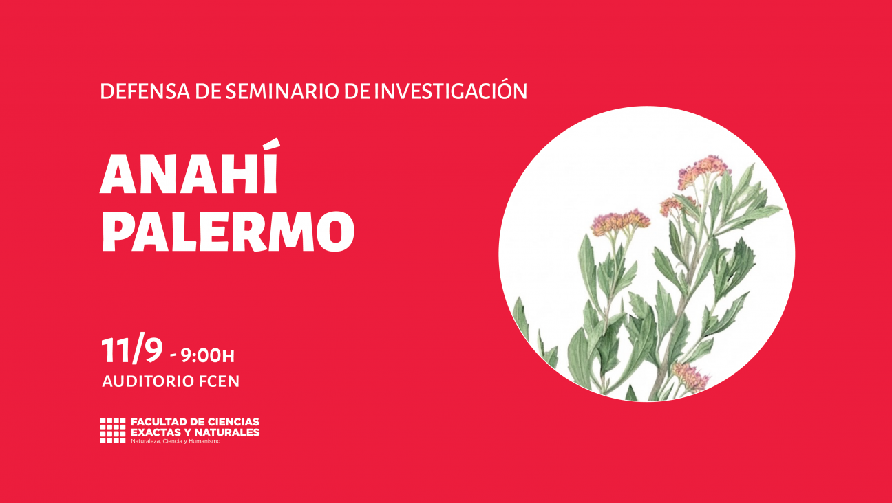 imagen Defensa de Seminario de Investigación a cargo de Anahí Palermo