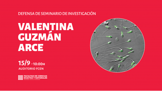 imagen Defensa de Seminario de Investigación a cargo de Valentina Guzmán Arce