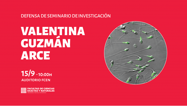 imagen Defensa de Seminario de Investigación a cargo de Valentina Guzmán Arce