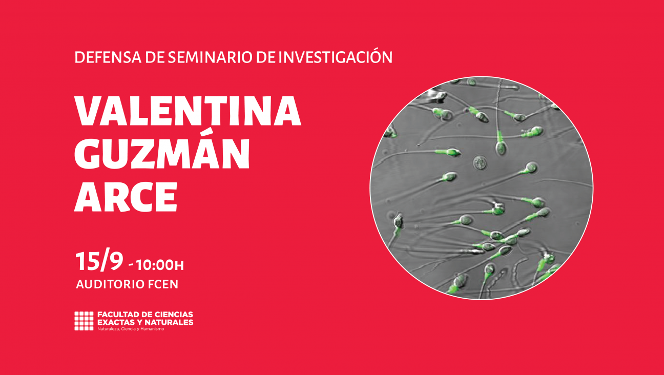 imagen Defensa de Seminario de Investigación a cargo de Valentina Guzmán Arce