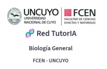 imagen Prueba piloto. TutorIA