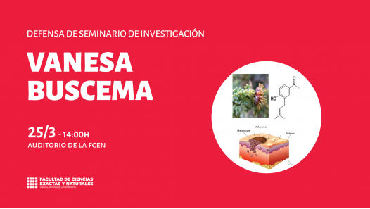 imagen Defensa de Seminario de Investigación de Vanesa Buscema