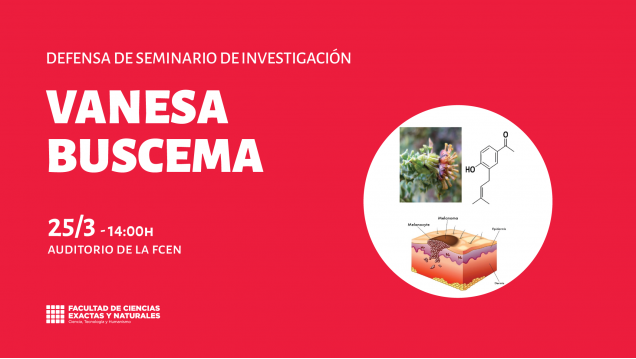 imagen Defensa de Seminario de Investigación de Vanesa Buscema