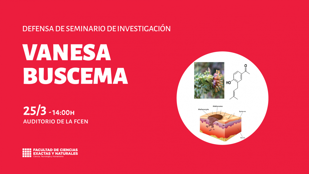 imagen Defensa de Seminario de Investigación de Vanesa Buscema