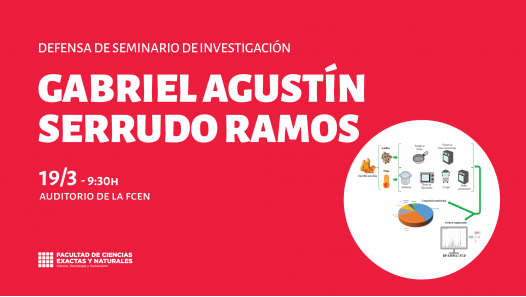 imagen Defensa de Seminario de Investigación a cargo de Gabriel Agustín Serrudo Ramos