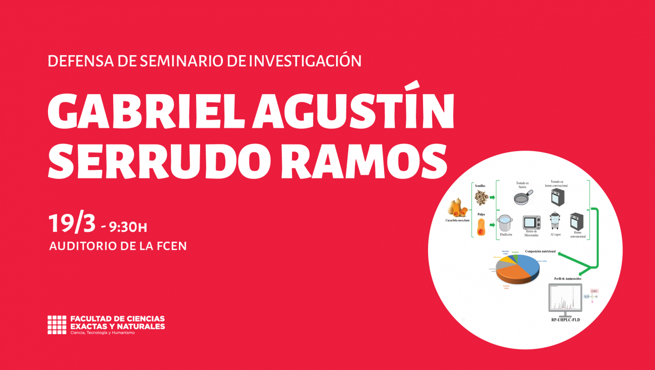 imagen Defensa de Seminario de Investigación a cargo de Gabriel Agustín Serrudo Ramos