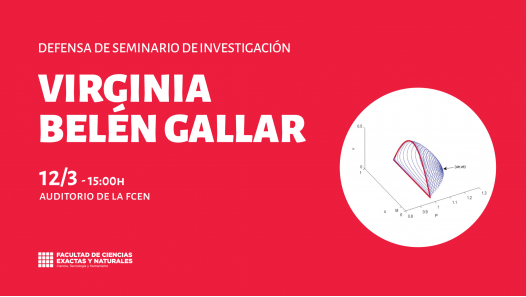 imagen Defensa de Seminario de Investigación a cargo de Virginia Belén Gallar
