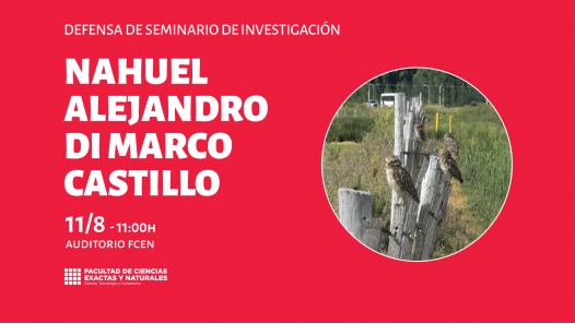 imagen Defensa Seminario de Investigación a cargo de Nahuel Alejandro Di Marco Castillo