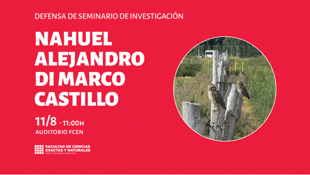 imagen Defensa Seminario de Investigación a cargo de Nahuel Alejandro Di Marco Castillo