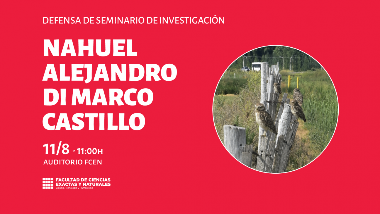 imagen Defensa Seminario de Investigación a cargo de Nahuel Alejandro Di Marco Castillo