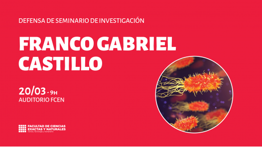 imagen Defensa de Seminario de Investigación a cargo de Franco Gabriel Castillo