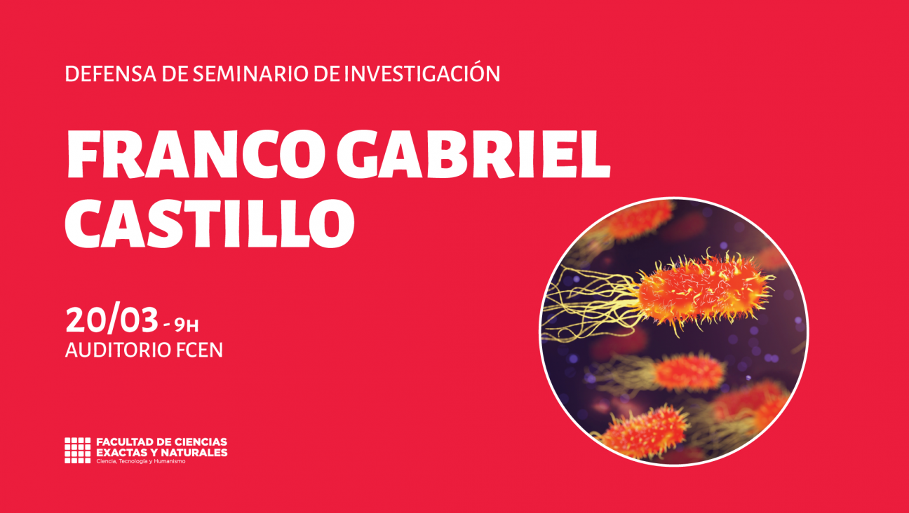 imagen Defensa de Seminario de Investigación a cargo de Franco Gabriel Castillo