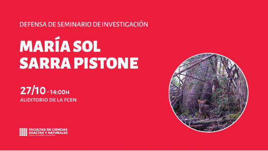 imagen Defensa de Seminario de Investigación a cargo de María Sol Sarra Pistone