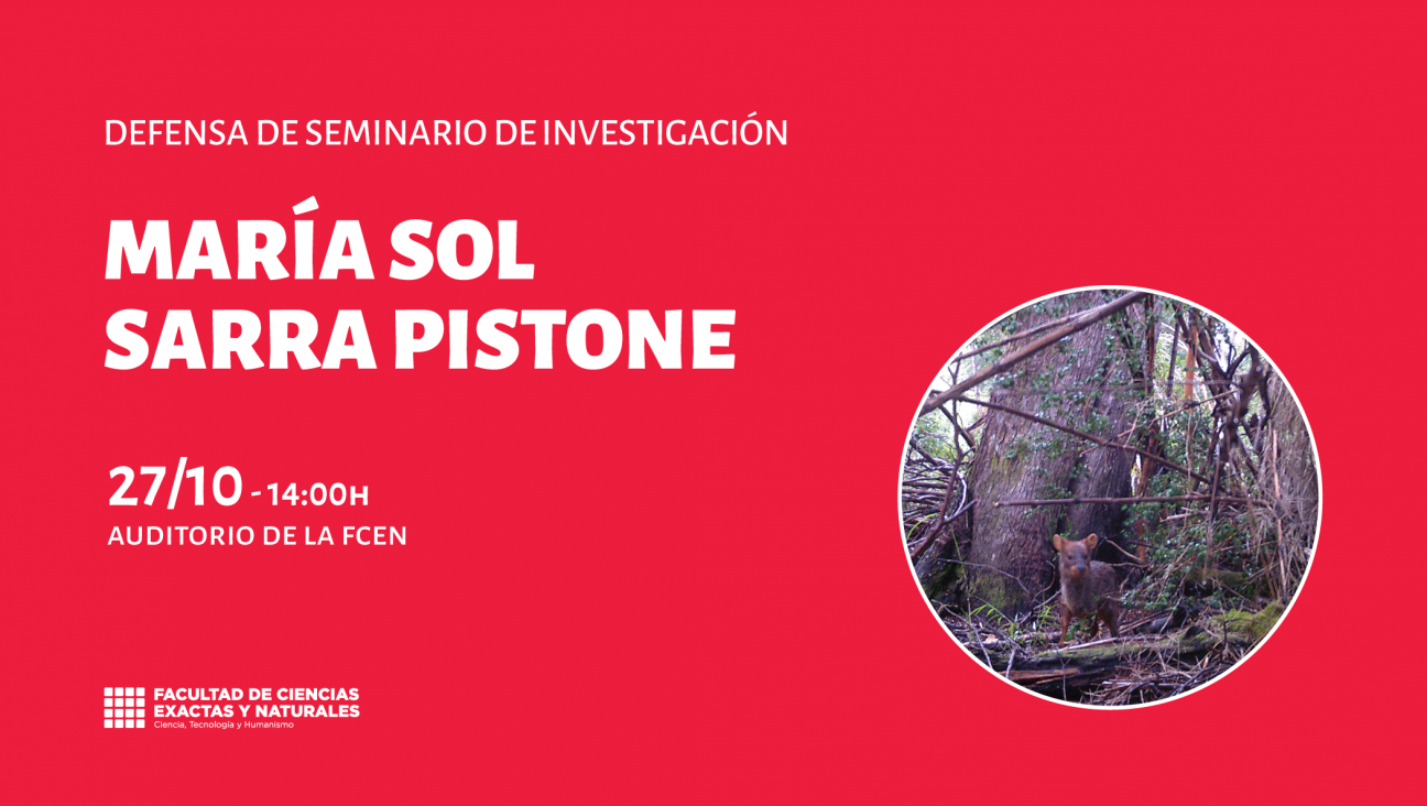 imagen Defensa de Seminario de Investigación a cargo de María Sol Sarra Pistone