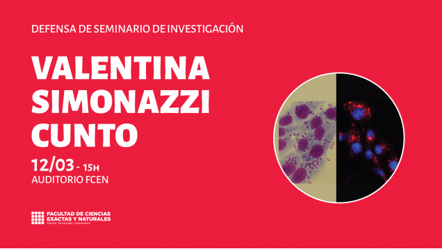 imagen Defensa de Seminario de Investigación a cargo de Valentina Simonazzi Cunto