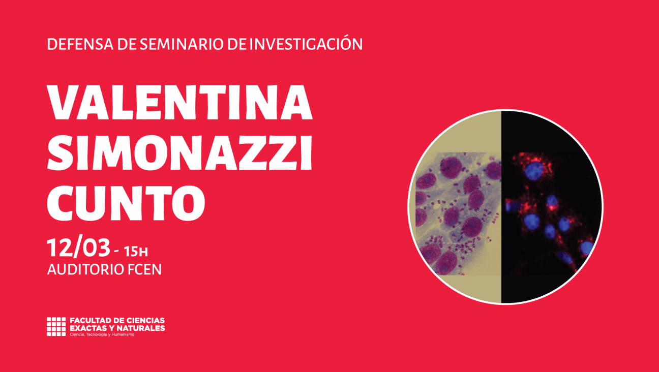 imagen Defensa de Seminario de Investigación a cargo de Valentina Simonazzi Cunto