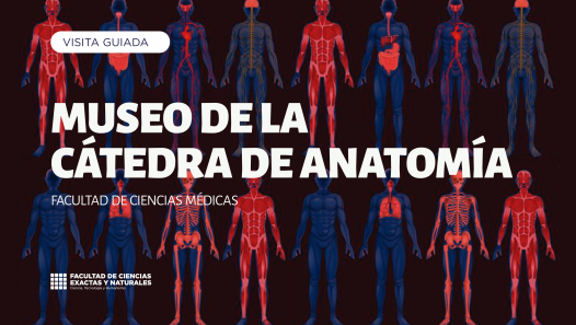 imagen Visita Guiada al Museo de Anatomía – Facultad de Ciencias Médicas – UNCuyo
