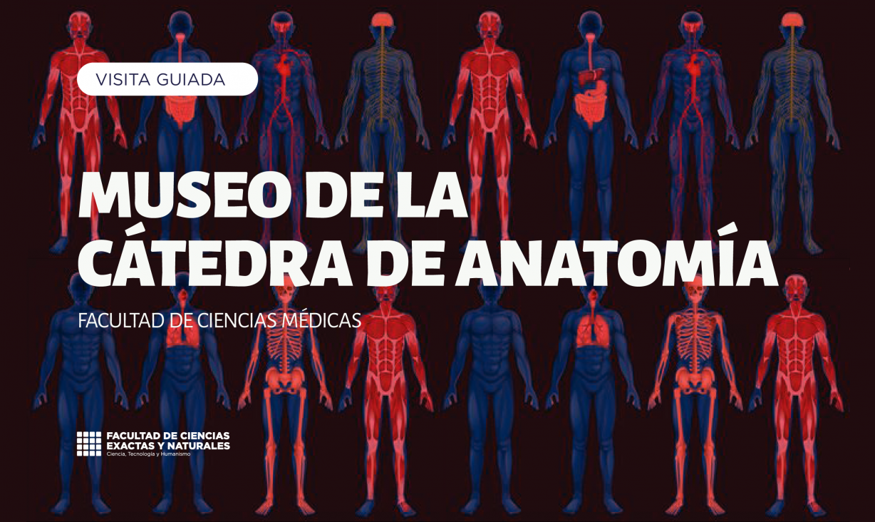 imagen Visita Guiada al Museo de Anatomía – Facultad de Ciencias Médicas – UNCuyo