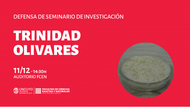 imagen Defensa de Seminario de Investigación de Trinidad Olivares