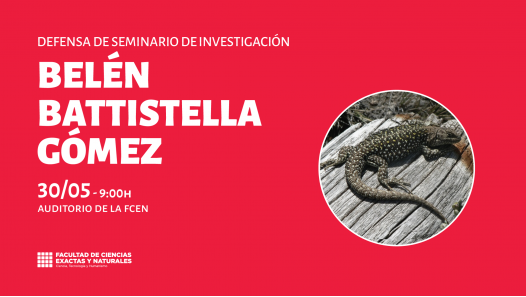 imagen Defensa de Seminario de Investigación a cargo de Belén Battistella Gómez