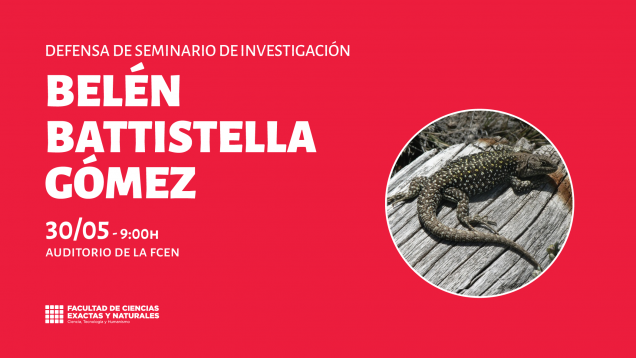 imagen Defensa de Seminario de Investigación a cargo de Belén Battistella Gómez