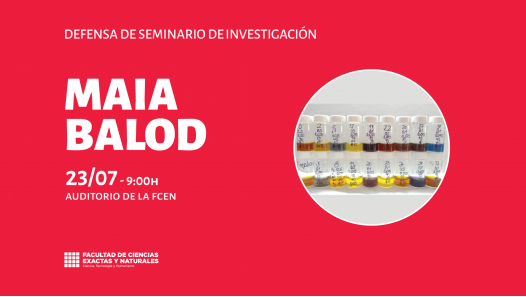 imagen Defensa de Seminario de Investigación a cargo de Maia Balod