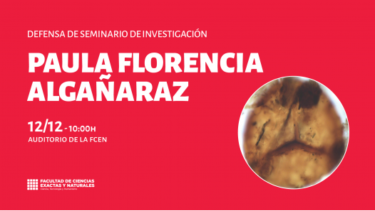 imagen Defensa de Seminario de Investigación a cargo de Paula Florencia Algañaraz