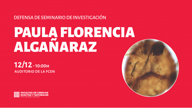 imagen Defensa de Seminario de Investigación a cargo de Paula Florencia Algañaraz