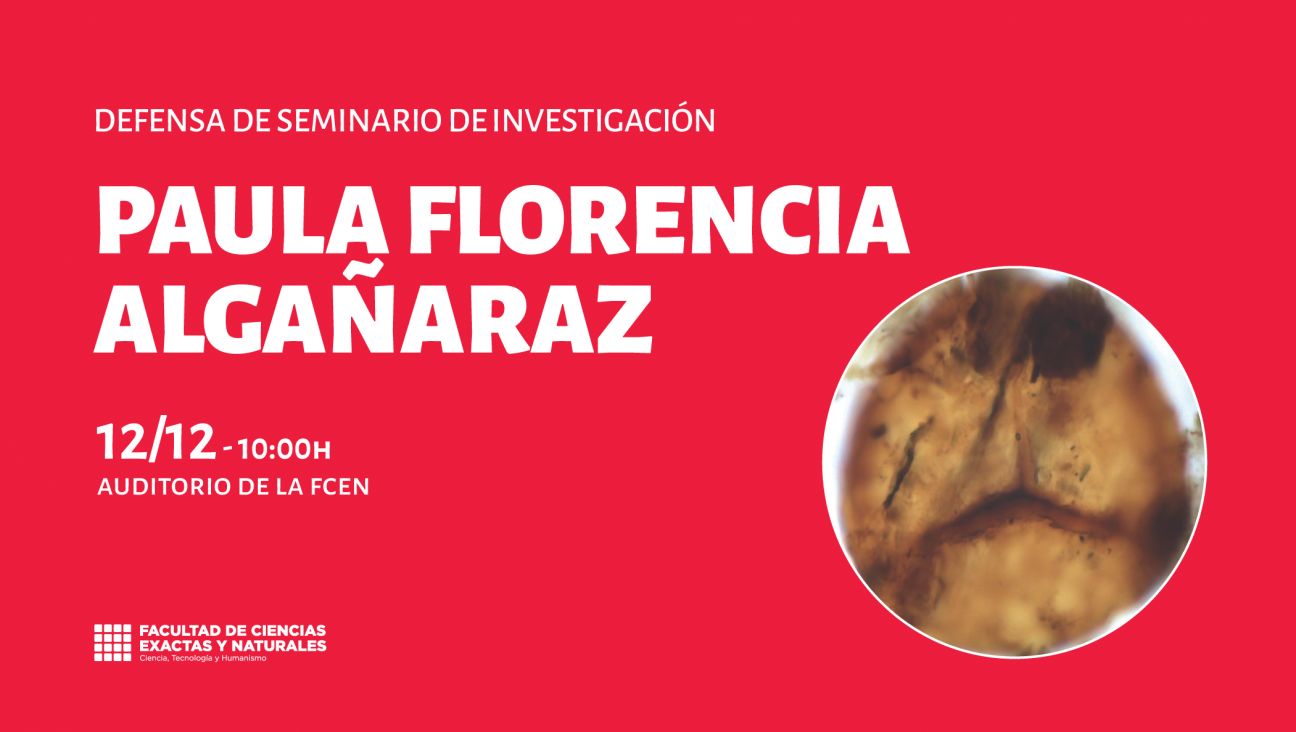 imagen Defensa de Seminario de Investigación a cargo de Paula Florencia Algañaraz
