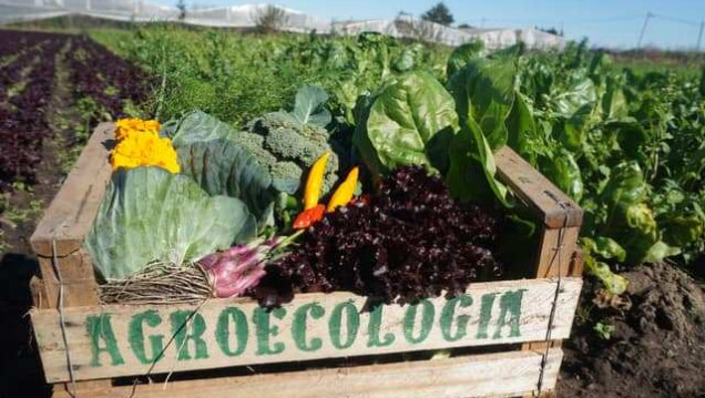 imagen Se abre la inscripción al curso "Agroecología: hacia una producción sustentable" en el Sur mendocino